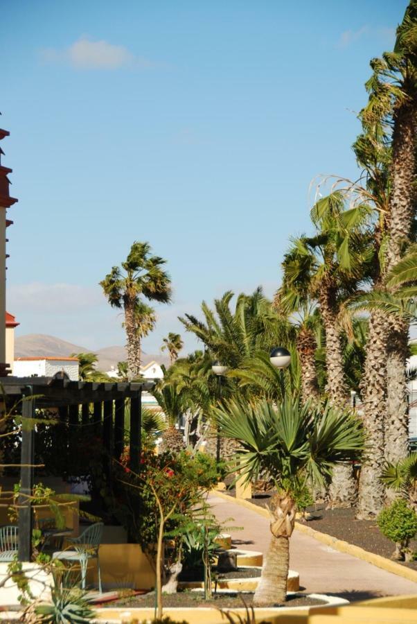 Holiday house Fuerteventura Costa Calma Exterior foto